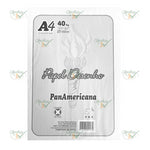 PAPEL DESENHO LASER A4 40 KG 120 GM² COM 50 FOLHAS - PANAMERICANA COD.: 4007