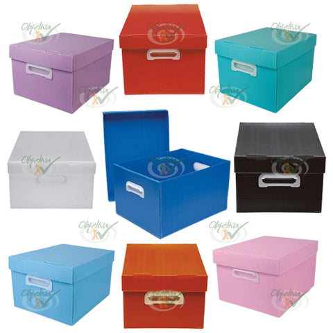 CAIXA ORGANIZADORA THE BEST BOX GRANDE 437X310X240 - POLIBRAS